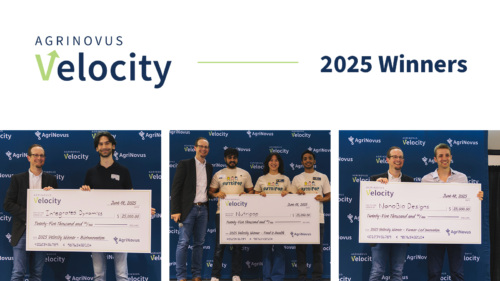Velocity Winners Graphic