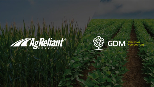 AgReliantGDM