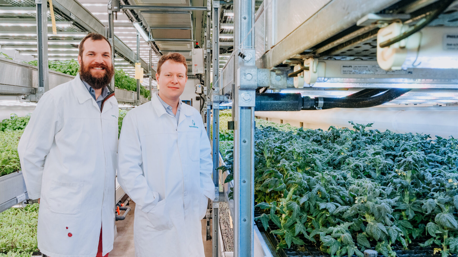 Phytoform-and-Corteva-partner-on-AI-to-boost-disease-resistance-in-corn