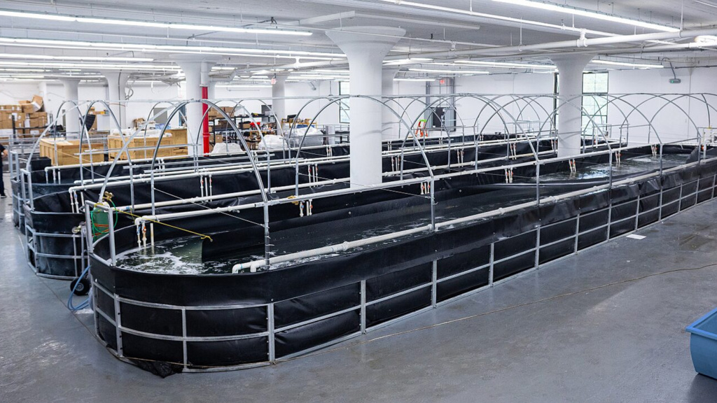 Atarraya-Image-AgFunder-1024x576