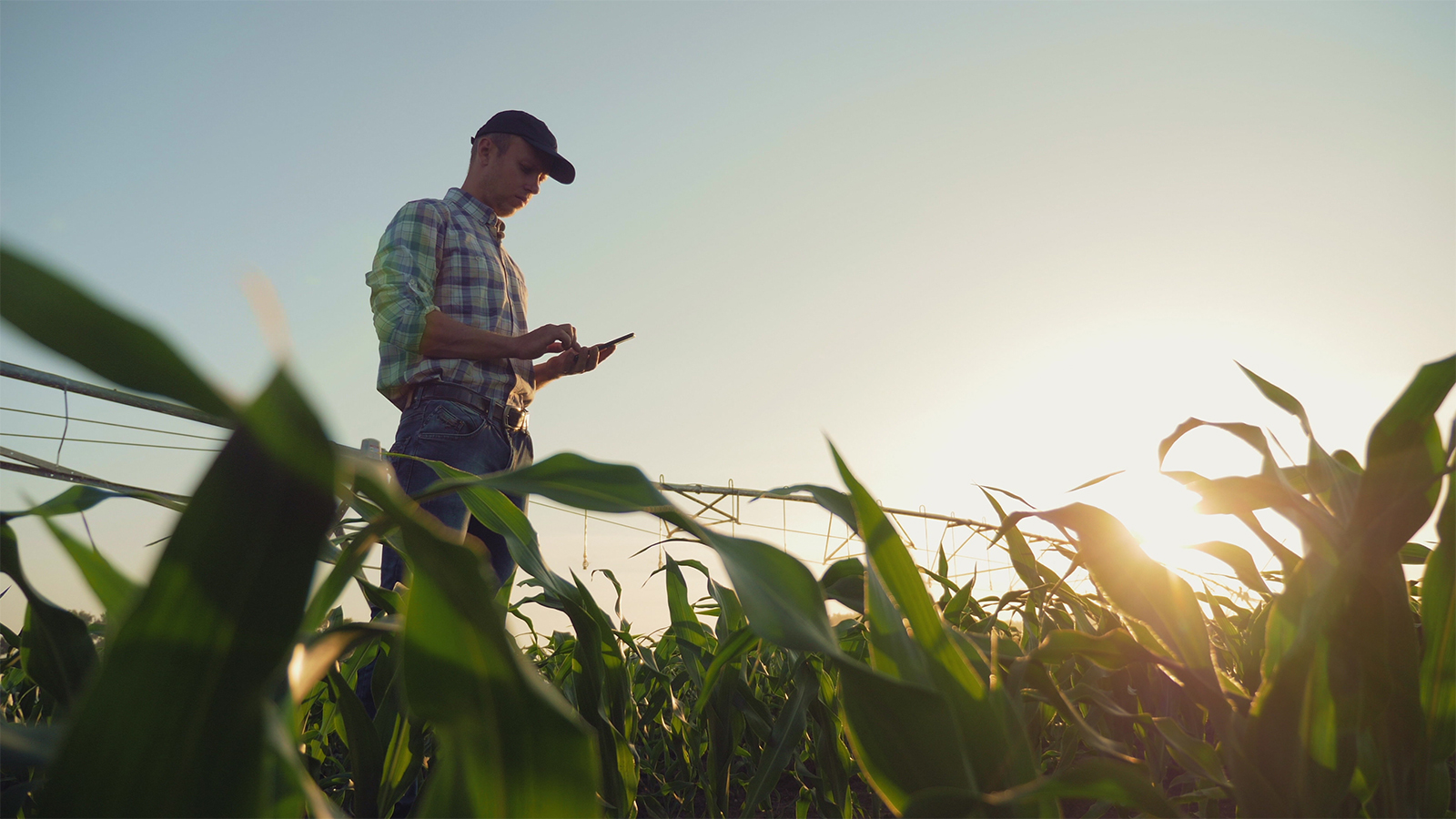 6 Smart Tech Trends to Watch in Agriculture in 2026