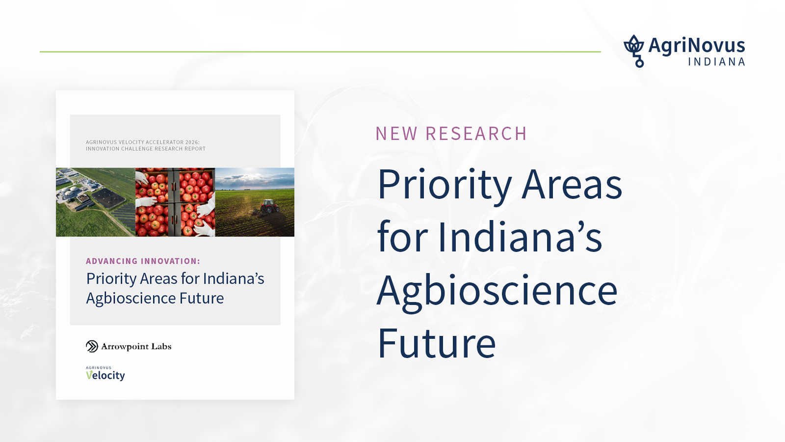 New Research Graphic