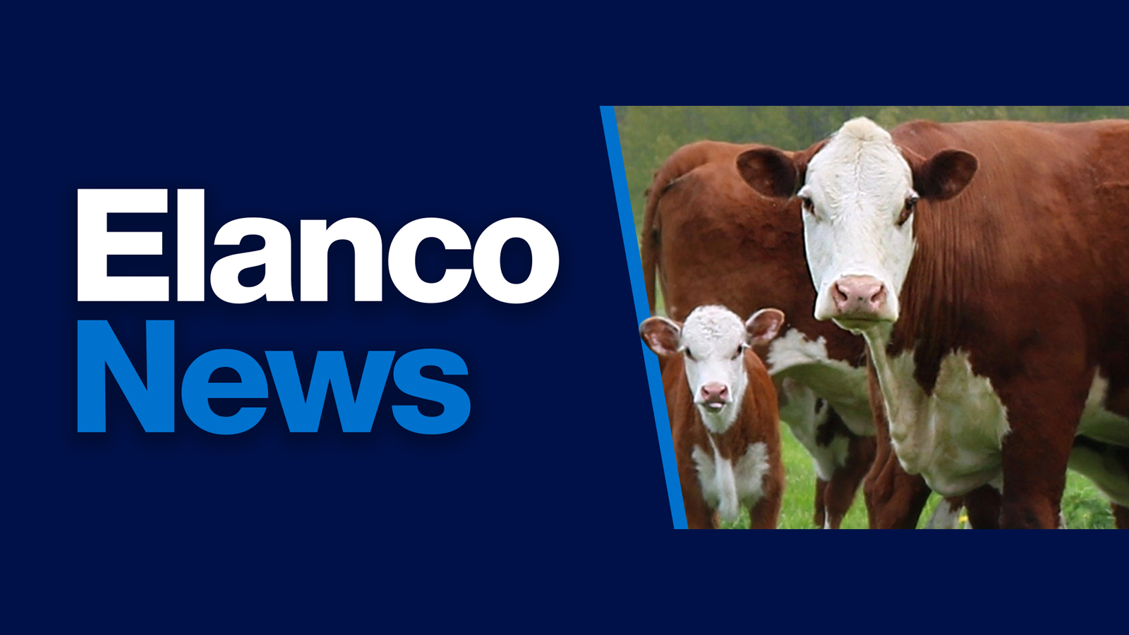 Elanco News