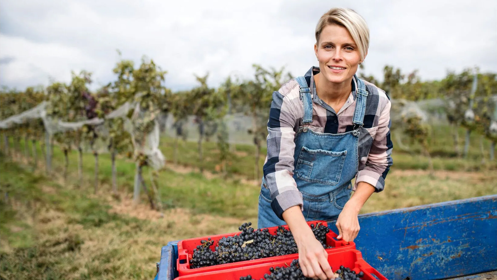 INFB to Award Grants for Women-Owned Agricultural Small Businesses