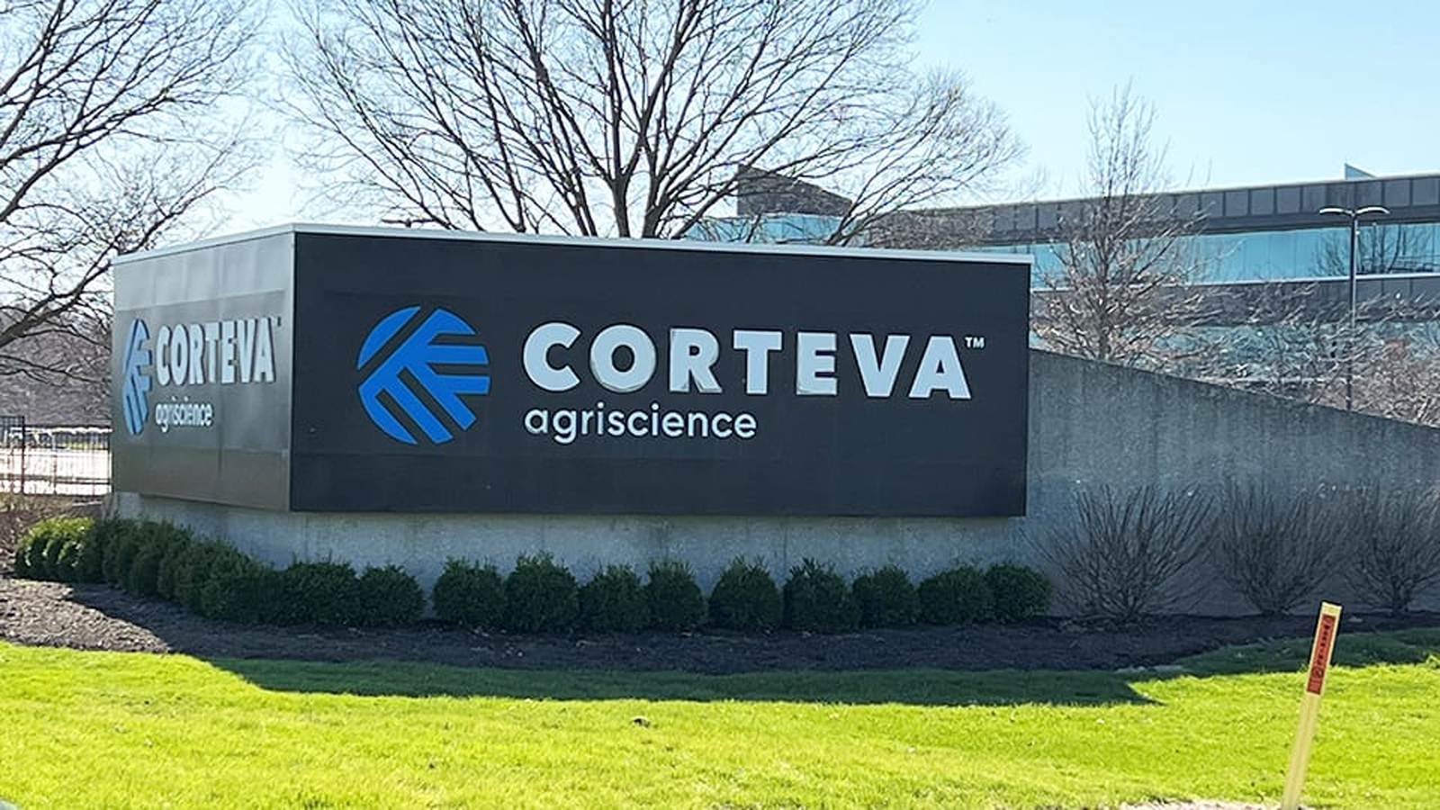 IIB Corteva WWR