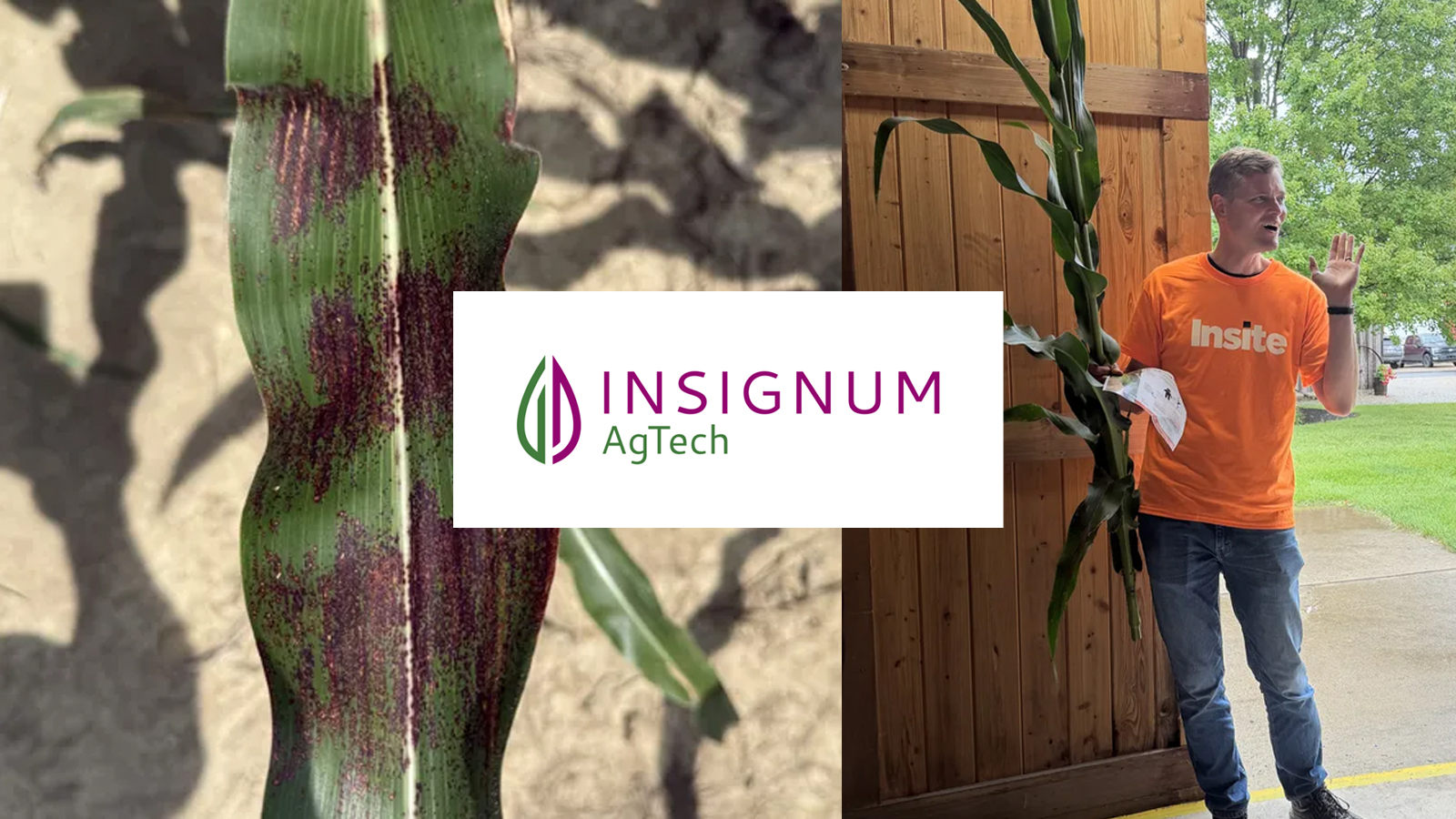 InsignumAgtech3