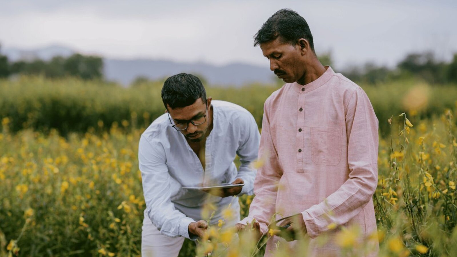 AIM for Scale receives $10 million to bring AI-powered weather services to millions of farmers