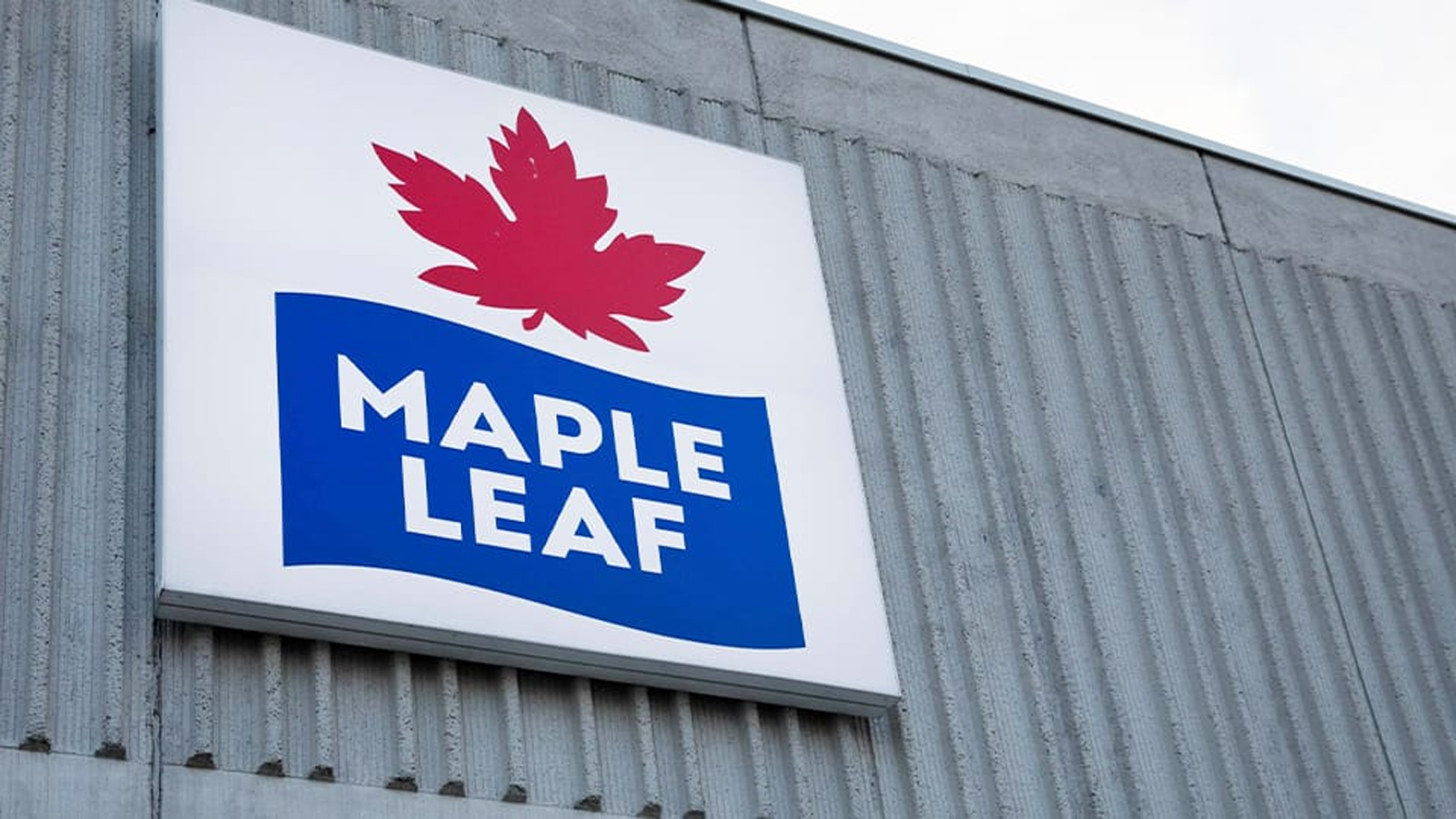 maple leaf foods